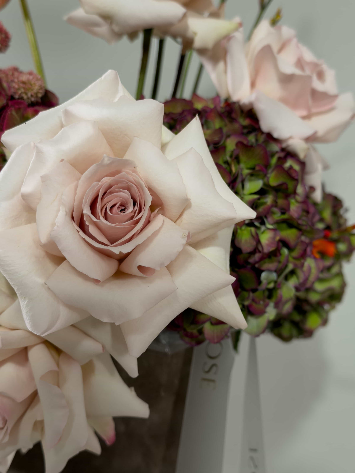 A close-up of a floral arrangement featuring pale blush pink roses and green hydrangea blooms, with a white ribbon tag partially visible.