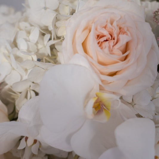 Close-up of a blush garden rose and white phalaenopsis orchid nestled among white hydrangeas — ivory luxury flower arrangement detail by AMEROSE London