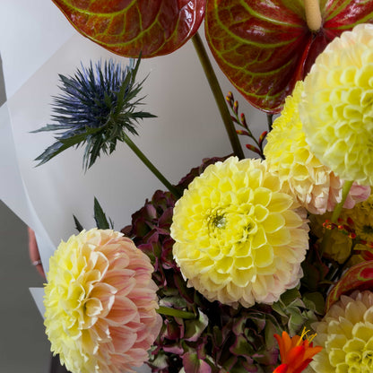 A close-up of a flower arrangement featuring large pink-and-yellow dahlias, glossy red and green anthuriums, and a blue thistle, wrapped in white paper.