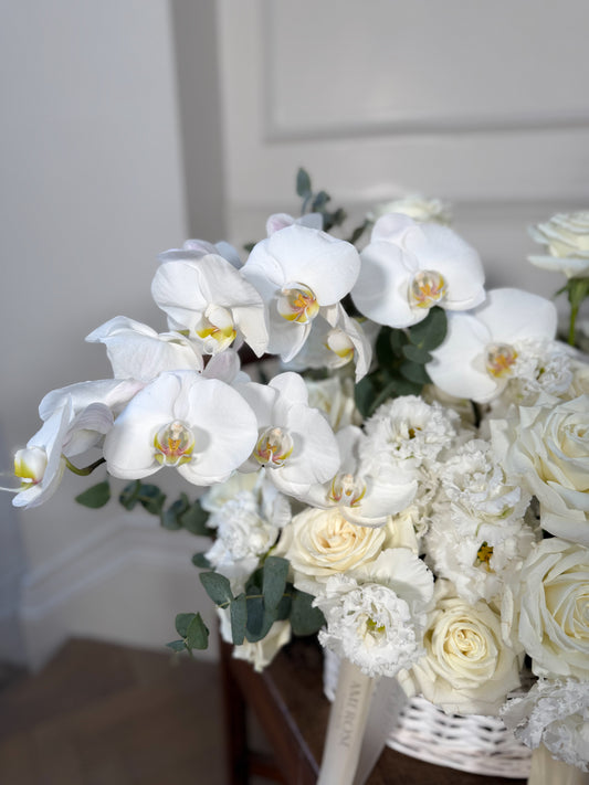 Monochrome Composition