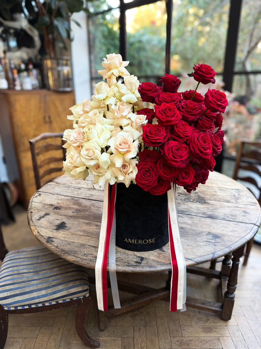 Red x Cream Roses