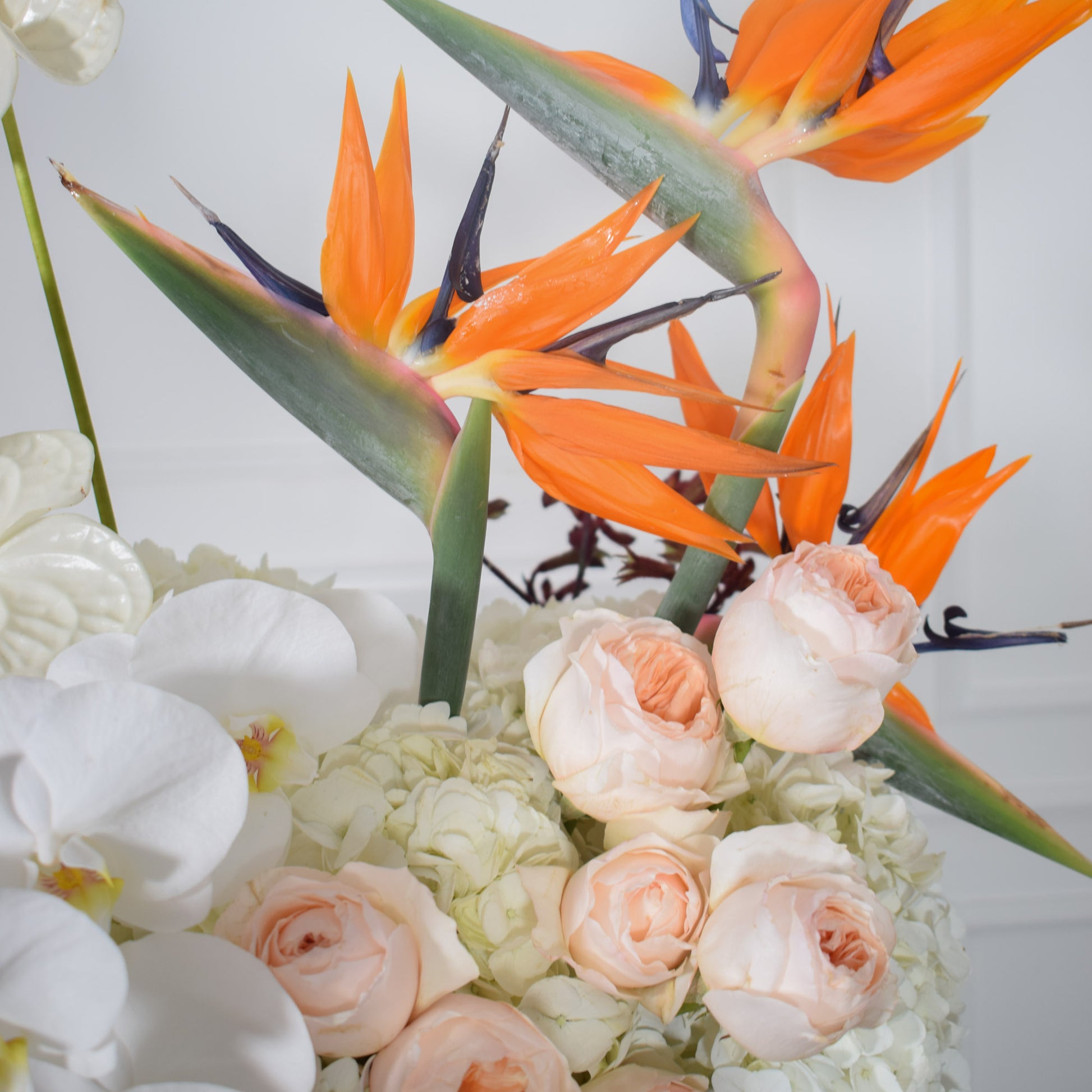 Close-up of peach David Austin and birds of paradise blooms in AMEROSE signature deep green hatbox arrangement