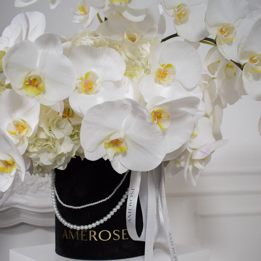 Close-up of white phalaenopsis orchids cascading over black AMEROSE velvet hatbox with pearl necklace detail