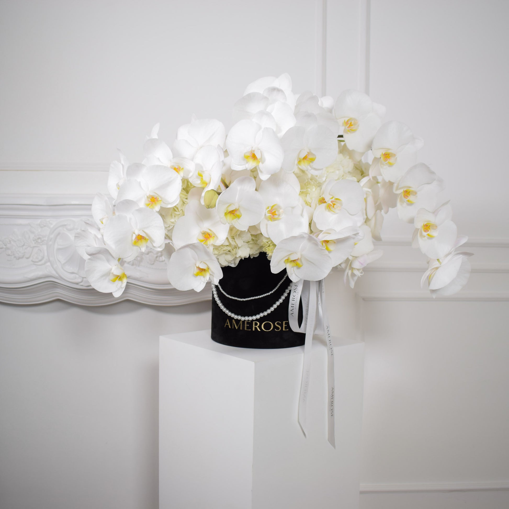 AMEROSE Blanc Orchids full arrangement — white phalaenopsis orchid dome in black velvet hatbox with pearl detail