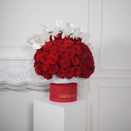 AMEROSE Rouge luxury hatbox — full dome of deep red roses and white orchids in signature scarlet velvet hatbox
