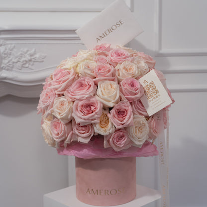 AMEROSE blush velvet hatbox with a perfect dome of pink and cream O'Hara garden roses and branded card — luxury rose hatbox London