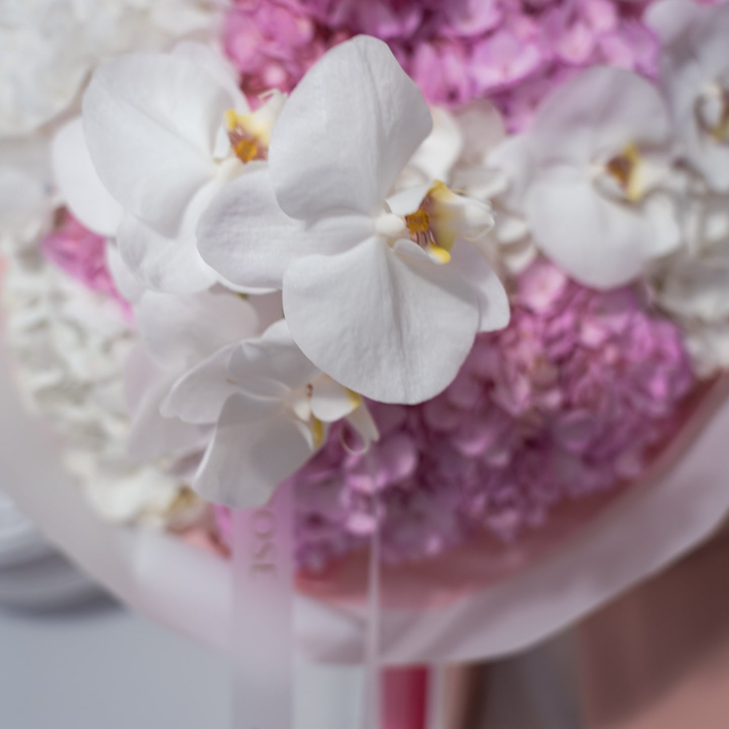 Close-up of white phalaenopsis orchids nestled among pink and white hydrangeas elegantly wrapped  — luxury orchid bouquet detail by AMEROSE London