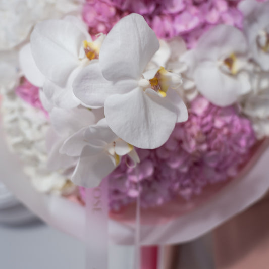 Close-up of white phalaenopsis orchids nestled among pink and white hydrangeas elegantly wrapped  — luxury orchid bouquet detail by AMEROSE London