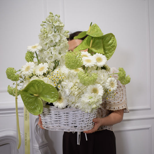 Person holding an oversized white wicker basket overflowing with green anthurium, white gerberas, stock, delphinium, hydrangeas and chamomile with yellow-green AMEROSE ribbon — statement flower arrangement London
