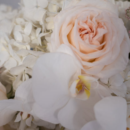 Close-up of a blush garden rose and white phalaenopsis orchid nestled among white hydrangeas — ivory luxury flower arrangement detail by AMEROSE London