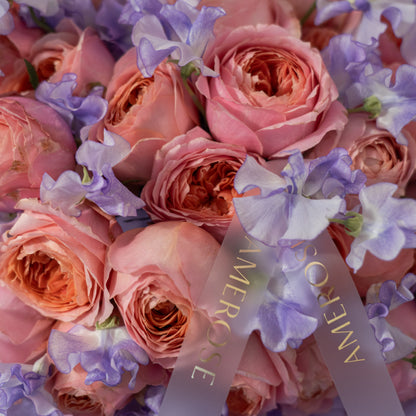 Close-up of coral peach garden roses and purple lavender sweet peas with AMEROSE gold ribbon — luxury seasonal flower bouquet detail London