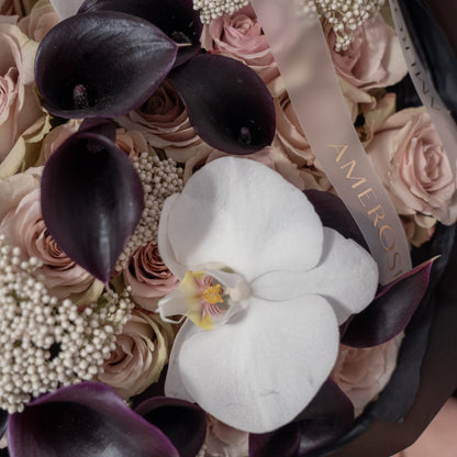 Close-up of deep purple black calla lilies, nude roses, white phalaenopsis orchid and blush rice flowers with AMEROSE ribbon — luxury dark bouquet detail London