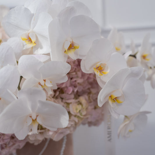 Close-up of white phalaenopsis orchids with yellow centres over blush pink hydrangeas — luxury orchid arrangement detail by AMEROSE London