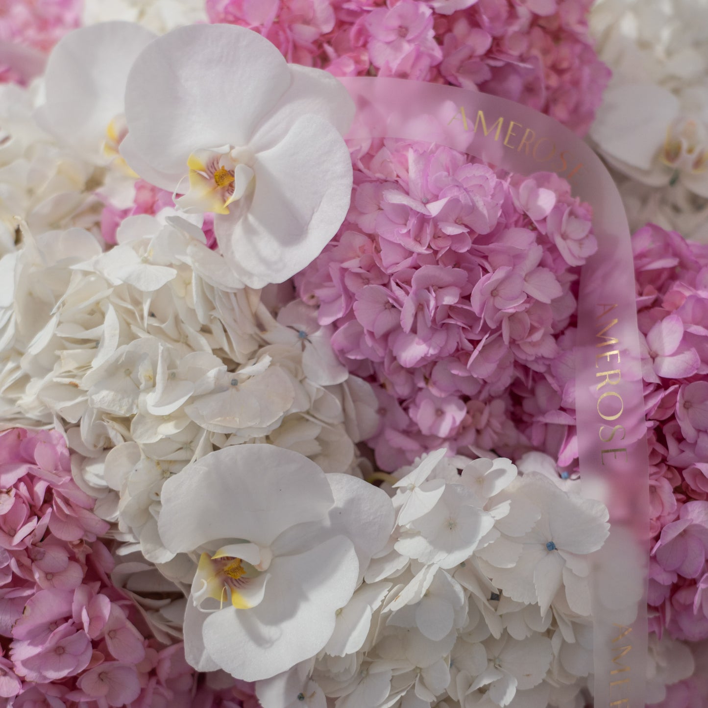 Close-up of white phalaenopsis orchids nestled among pink and white hydrangeas with AMEROSE sheer gold ribbon — luxury flower arrangement detail London
