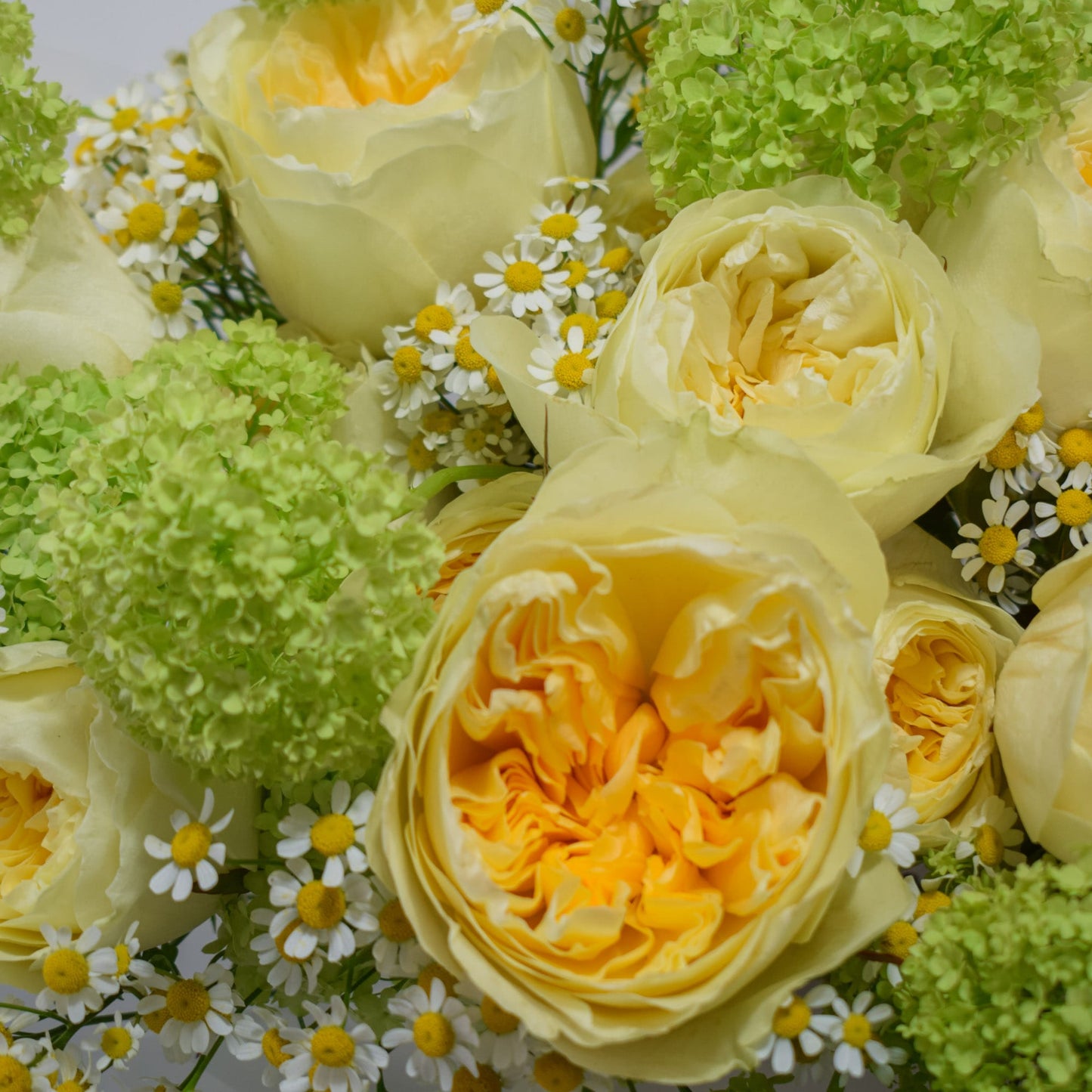 Close-up of yellow garden roses with golden centres, green viburnum snowball flowers and white chamomile — fresh garden bouquet detail by AMEROSE London